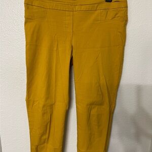 Zac & Rachel Vibrant Yellow Pants